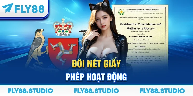 Đôi nét giấy phép hoạt động