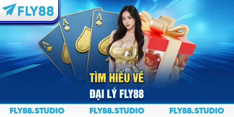 Tìm hiểu về đại lý FLY88