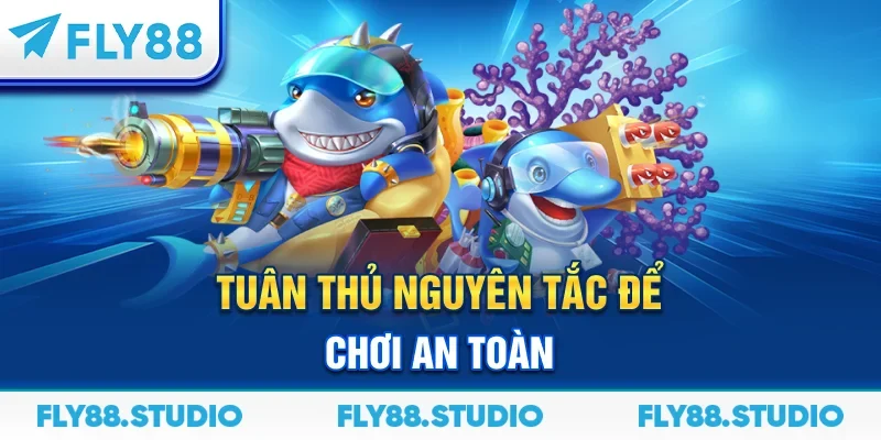 Tuân thủ nguyên tắc để chơi an toàn